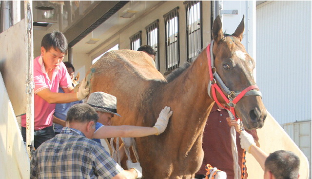 圖片關(guān)鍵詞 圖片關(guān)鍵詞