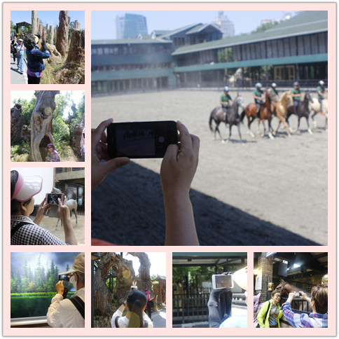 圖片關(guān)鍵詞