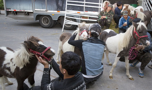 圖片關(guān)鍵詞 圖片關(guān)鍵詞