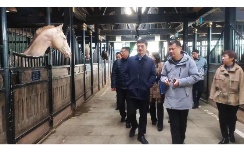 高雷副廳長(zhǎng)在野馬集團(tuán)調(diào)研時(shí)表示，要通過(guò)科技助力，精準(zhǔn)解決“卡脖子”問(wèn)題