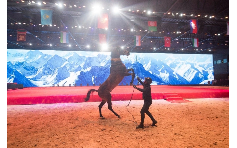 住馬酒店、吃馬肉腸、喝馬奶粉、品馬奶酒--